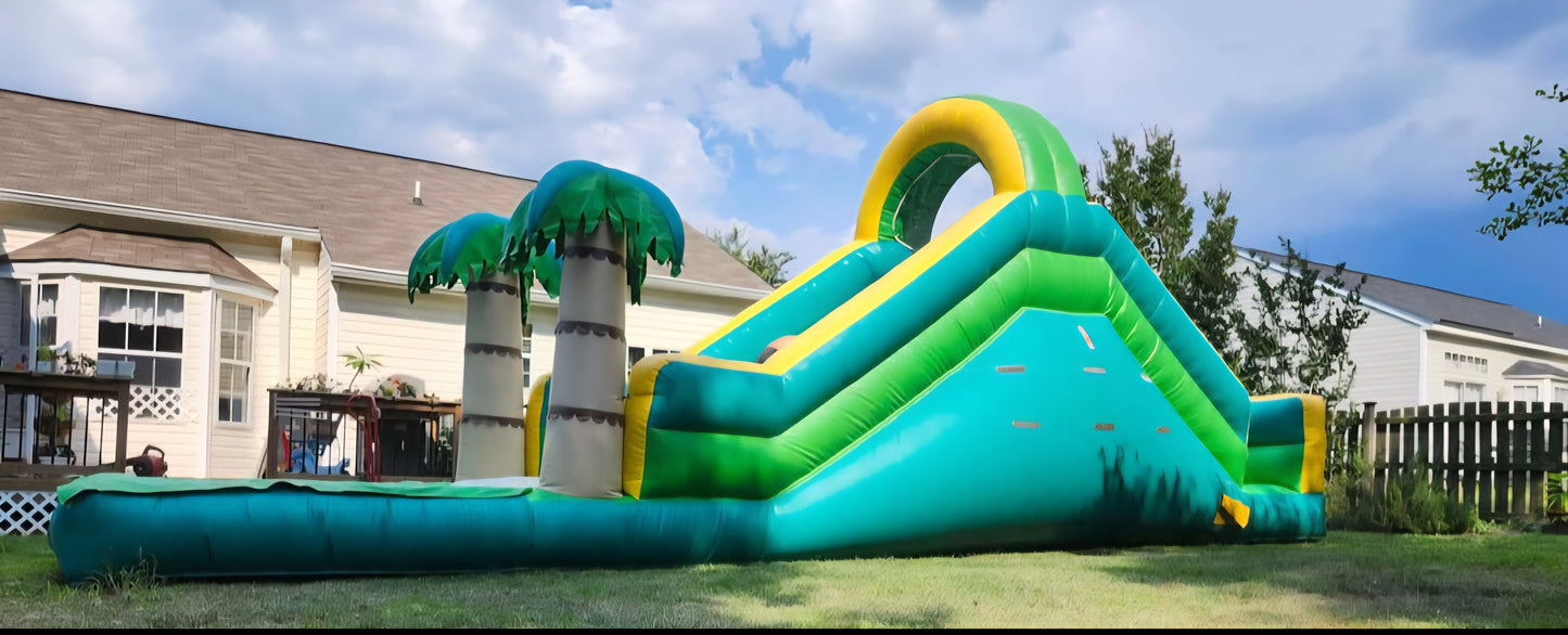 Tropical Palm Waterslide