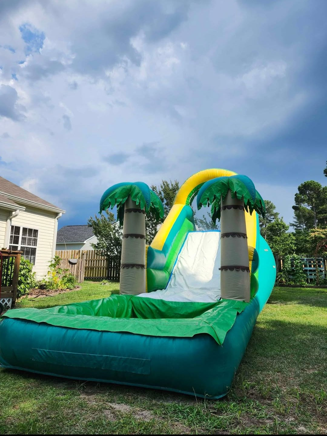 Tropical Palm Waterslide