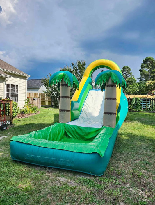 Tropical Palm Waterslide